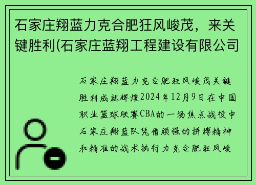 石家庄翔蓝力克合肥狂风峻茂，来关键胜利(石家庄蓝翔工程建设有限公司)