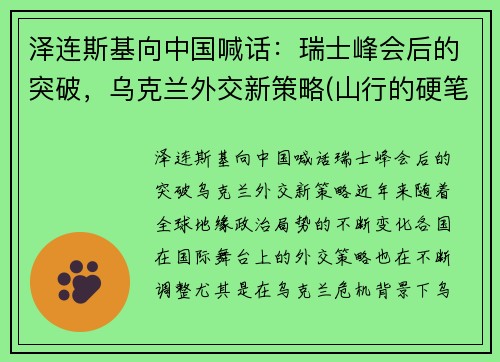 泽连斯基向中国喊话：瑞士峰会后的突破，乌克兰外交新策略(山行的硬笔)