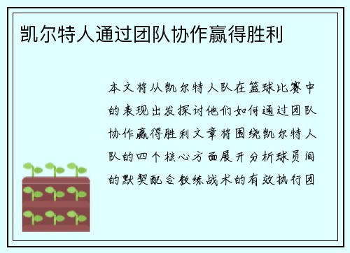 凯尔特人通过团队协作赢得胜利