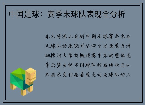 中国足球:赛季末球队表现全分析