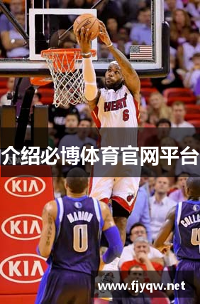 介绍必博体育官网平台